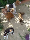 IMG-20190628-WA0003.webp