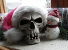 DSCN2578 (800x600).webp