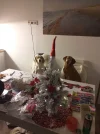 20191219_204646.webp