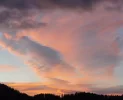 DSC04991.webp
