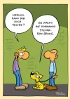 7 steuer.webp