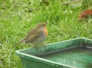 DSCN2875.webp