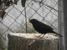 DSCN2707 (800x600).webp