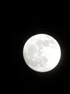 DSCN2301.webp