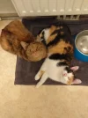 20190510_195846.webp