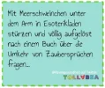 7 meerschwimages.webp