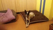 20191227_202632.webp