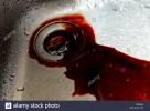 blut.webp