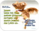 7 Schatten.webp