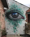 7 auge.webp