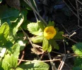 DSCN2417.webp