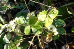 DSCN2421.webp