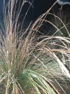 20191120_204755.webp