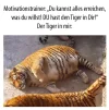 FB_IMG_1579524721442.webp