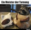 7 meister der Tarnung.webp