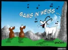 7 gams.webp