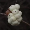 SchneebeerexxlP1221234.webp