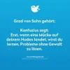 i7 Hoden.webp