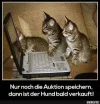 FB_IMG_1580224642064.webp