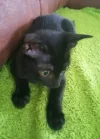 0312020103638.webp