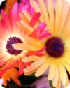 0312020153640.webp