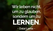 1320204658.webp
