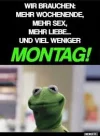 7 kermit montag.webp 7 kermit montag.webp