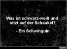 7 Schwinguin.webp