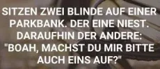 7 blind.webp