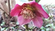 20190303_140236.webp