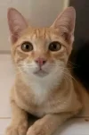 192020234824.webp
