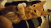 giphy-14.gif