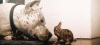 6034.gif