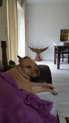 20190713_163136.webp