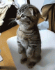 4635.gif