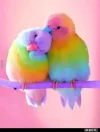 7 vogelpaar.webp