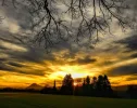 A2319A1B-F8DD-4F83-9228-1FFDD35FC913.webp
