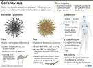 coronavirus.webp