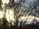 DSC07073.webp