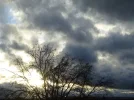 DSC07075.webp