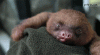 1762.gif