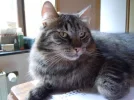 DSCN9880.webp