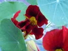 DSCN9773.webp