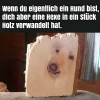 7 holz hexe.webp