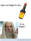 7 Maggie.webp