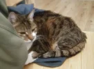 Pez_Rucksack.webp