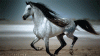 208421.gif