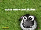 7 mähen.webp