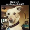 7 saufen.webp