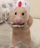 tumblr_oo5i9hDHP01rluhlpo1_400.gif